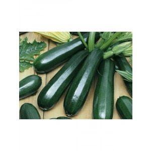 Kolsuz Kara Kabak Tohumu - Sofralık
