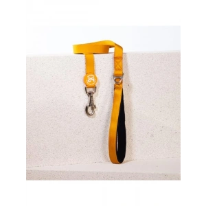 Köpek Gezdirme Kayışı, 120 cm x 2 cm, Dayanıklı