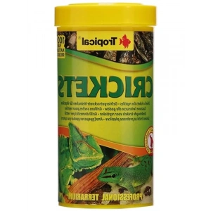 Kurutulmuş Balık Yemi - 250ml (25gr)