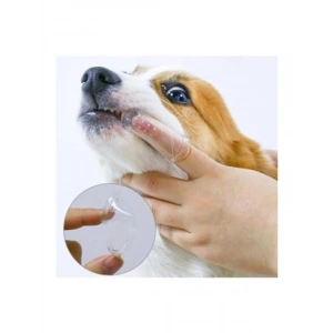 Kutulu Kedi ve Köpek Diş Fırçası