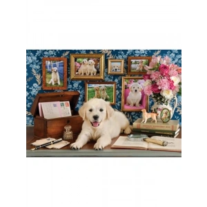Labrador Temalı 500 Parça Puzzle