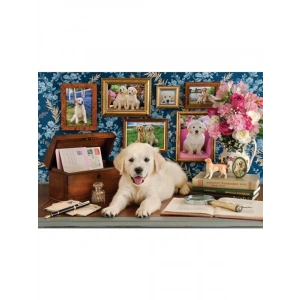 Labrador Temalı 500 Parça Puzzle, Eğlenceli Zeka Geliştirici Aktivite