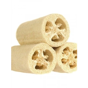 Lif Kabak Tohumu (Çoklu Paket) - 10 Adet