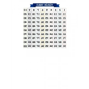 Matematik Öğreten Yüzlük Tablo - Yapışkansız Statik