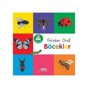 Minik Kitaplarım - Böcekler - Feridun Oral