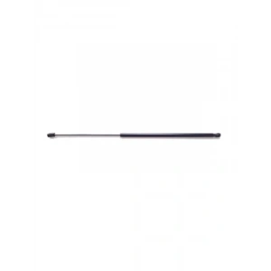 Motor Kaput Amortisörü Piston, 2015-2019 Model Araçlar için Uyumlu