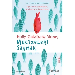 Mucizeleri Saymak - Holly Goldberg Sloan
