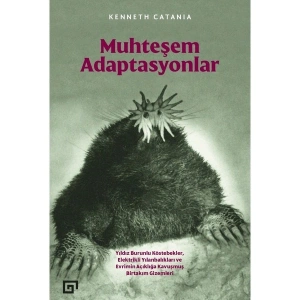 Muhteşem Adaptasyonlar - Kenneth Catania