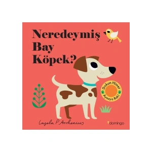 Neredeymiş Bay Köpek? Dokun, Hisset, Aynaya Bak!