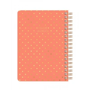Noktalı Bullet Journal Defteri, 17x24 cm, Şık Mercan Renk