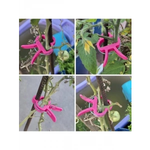 Orta Boy Bitki Bağlama Mandalı, 10 Adet Pembe Renkli