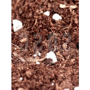 Özel Karışım Saksı Harcı, 1 LT Torf Cocopeat ve Perlit