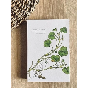 Özel Tasarım A5 Çizgili Not Defteri, Dikişli Sırt ve 180 Derece Açılabilir