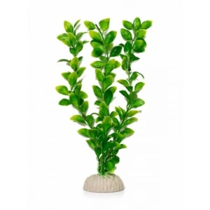 Akvaryum Bitkisi, 30 cm Boyunda Doğal Görünüm için