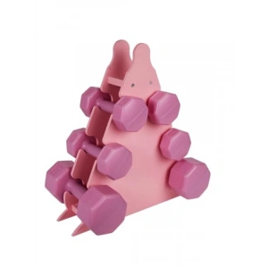 Pembe Renk Dambıl Seti + Stand, 3 Ağırlık Seçeneği
