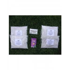 PERLİT+KÖK HORMONU + KÖK BESİNİ