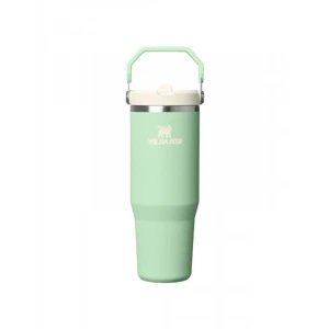 Pipetli Tumbler, 0.89 Litre Kapasite, Şık Yeşil Tasarım