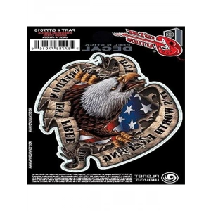Planet Waves Freedom Eagle GT77016 Gitar Sticker