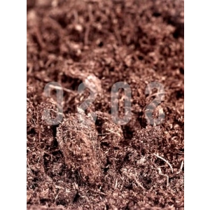 Premium Kalite İthal Sphagnum Bitki Yetiştirme Torfu - 3 Litre