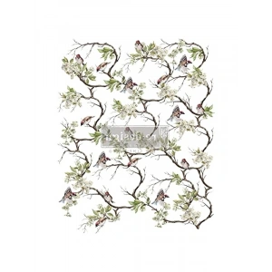 Prima Blossom Fiight