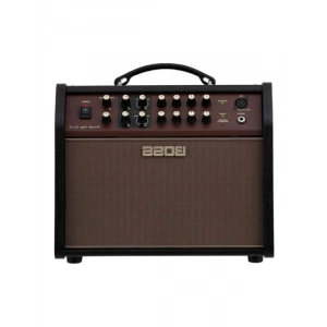 Profesyonel Akustik Gitar Amplifikatörü, 60 W Güç