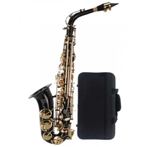 Profesyonel Alto Saksafon Seti (Çanta ve Aksesuar Dahil)