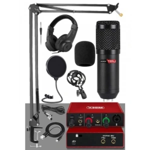 Profesyonel Stüdyo Kayıt Seti - BM800 Mikrofon ve Ses Kartı
