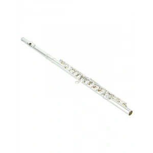 Profesyonel Yan Flüt (Model YFL212)