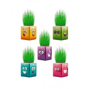 Renkli Küp Şeklinde Çim Adam Seti - 32li