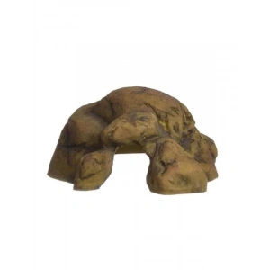 S Boyut Sürüngen Mağarası - Doğal Yaşam Alanı