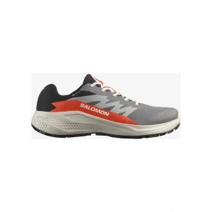 Salomon Alphaglide Gore-Tex Erkek Koşu Ayakkabısı