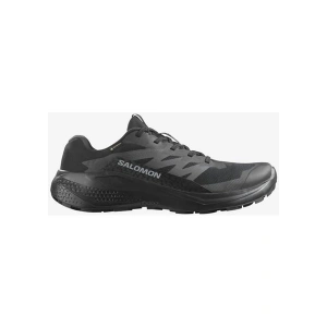 Salomon Alphaglide GORE-TEX Erkek Patika Koşusu Ayakkabısı