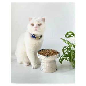 Seramik Kedi Ve Köpek Mama Su Kabı YEŞİL EBRU