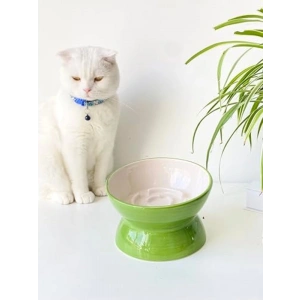 Seramik Yavaş Yeme Kedi Mama Kabı, Yeşil Renk