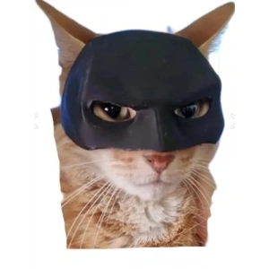 Sevimli Kedi Maskesi, Eğlenceli Aksesuar