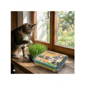 Sindirim Rahatlatıcı Kedi Çimi