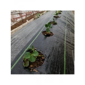 Siyah Renk Jüt Taban Yabani Ot Engelleme Örtüsü - 0,5 M x 1 M