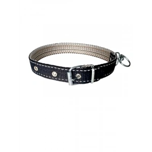 Siyah Renkli Köpek Boyun Tasması - Orta Boy