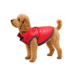 Su Geçirmez Kapitone Köpek Montu - Kırmızı (XS)