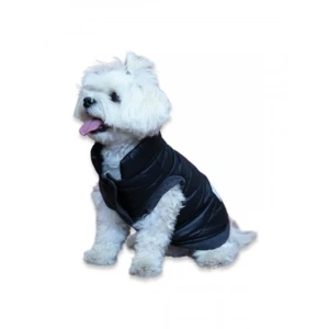 Su Geçirmez Kapitone Köpek Montu - Siyah (Medium)