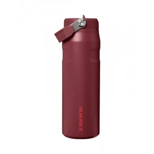 Taşınabilir Su Şişesi, 0.7L Kapasite ile Kullanım Kolaylığı