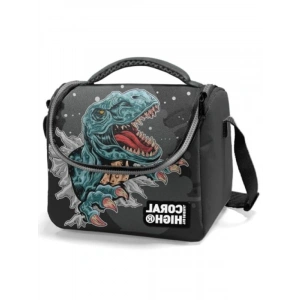 Termal Astarlı Erkek Beslenme Çantası - Siyah Gri Dinazor