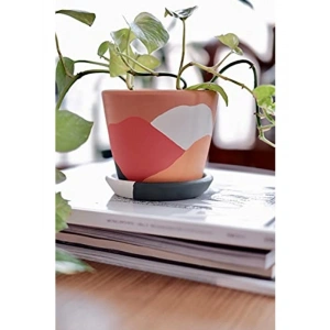 Terracotta Savana Saksı - Orta Boy, Yeşil ve Sarı Renk