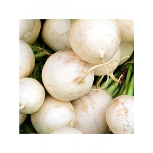 Turp Beyaz Kız Tohumu - 10 Gram