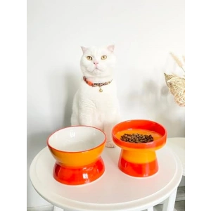 Turuncu Seramik Kedi ve Köpek Mama Su Kabı, Luna Model, 2li
