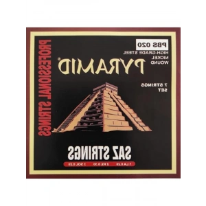 Uzun Sap İçin Saz Teli - Alman Yapımı, PBS20 020