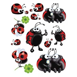 Window Decor Cam Yüzey Etiket Ugurbocegi