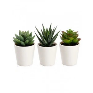 Yapay Saksı Bitkisi, İç ve Dış Mekan için 3lü Paket, Modern Tasarım