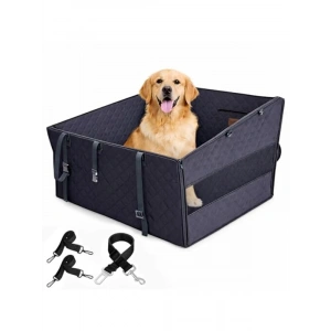 Yavru Kedi Maması 10 kg Tavuklu