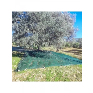 Yeşil Zeytin Toplama Filesi, 3x3 Metre Boyutunda